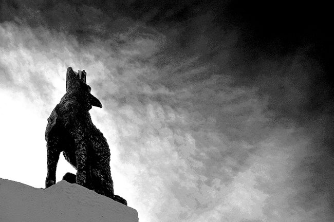 Caldas da Rainha: Bordaliana Route Walking Tour