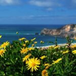 Panorâmica da Nazaré