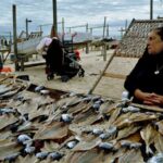 Vendedora de peixe seco na marginal da Nazaré